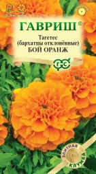 Бархатцы отклоненные Бой Оранж (Гавриш)