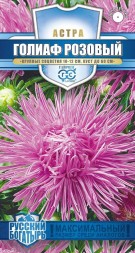 Астра игольчатая Голиаф розовый (Гавриш)