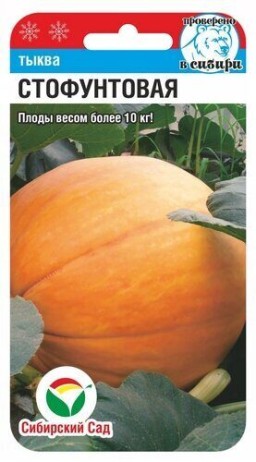 Тыква Стофунтовая (Сиб сад)