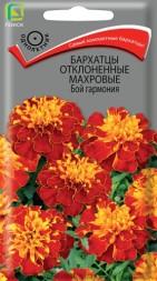 Бархатцы отклоненные Бой гармония махровые (Поиск)