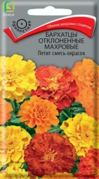 Бархатцы отклоненные Петит смесь (Поиск)