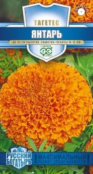 Бархатцы прямостоячие Янтарь (Гавриш)