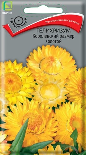 Семена Гелихризум Королевский размер Золотой (Поиск)