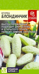 Огурец Блондинчик (Семена Алтая)