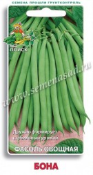 Фасоль Бона зеленая спаржевая (Поиск)