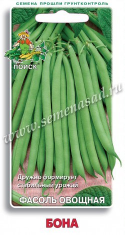 Семена Фасоль Бона зеленая спаржевая (Поиск)