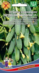 Огурец Чудо на балкон F1 (УД)