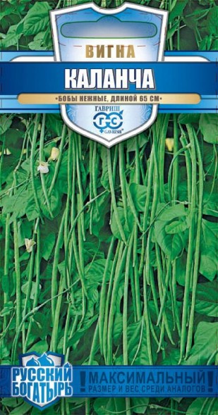 Семена Вигна Каланча (Гавриш)