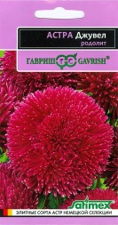 Астра Джувел Гранат (Гавриш)