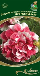 Петуния Дуо Роуз энд вайт (Поиск)