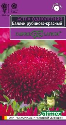 Астра Баллон рубиново-красный густомахровая (Гавриш)