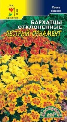 Бархатцы отклонённые Пёстрый орнамент (смесь окрасок) ЦС