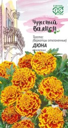 Бархатцы отклоненные Дюна (Гавриш)