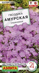 Гвоздика Амурская сиреневая (Аэлита)