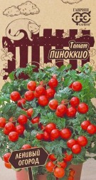 Томат Пиноккио (Гавриш)
