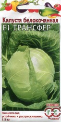 Капуста белокочанная Трансфер F1 (Гавриш)