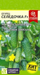 Огурец Селедочка F1 (Семена Алтая)