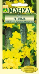 Огурец Шмель F1 (опылитель пчелоопыляемых огурцов) Манул