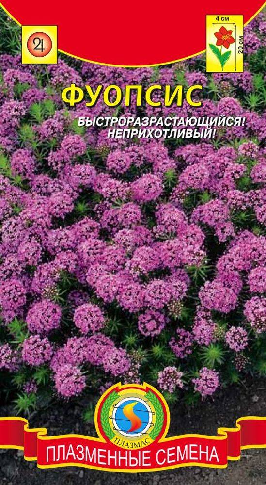 Купить Многолетние Цветы