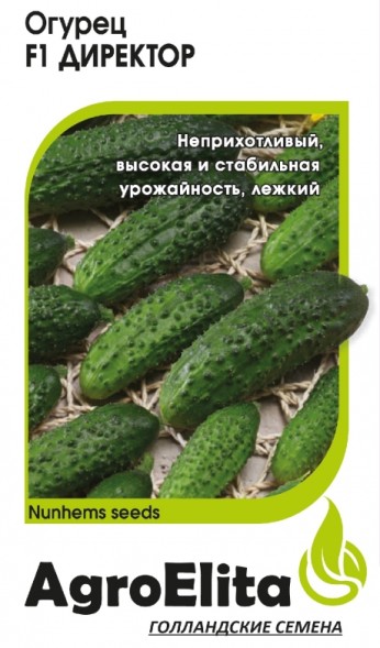 Семена Огурец Директор F1 (АгроЭлита)