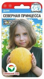 Дыня Северная принцесса (Сиб сад)