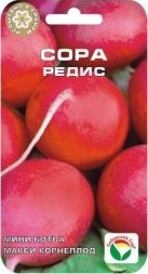 Редис Сора (Сиб Сад)