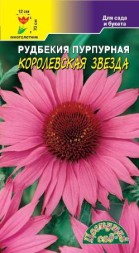 Рудбекия Королевская Звезда ЦС