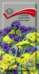 Статица Талисман Желто-синий (Поиск)