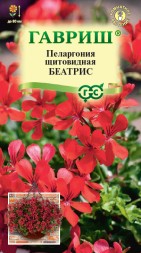 Пеларгония Беатрис ампельная (Гавриш)
