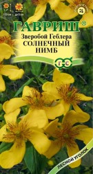 Зверобой Геблера Солный нимб (Гавриш)