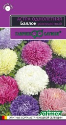 Астра Баллон Разноцветный шаровидная (Гавриш)