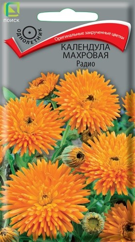 Семена Календула Радио махровая (Поиск)
