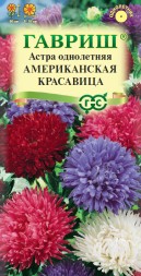 Астра Американская красавица смесь (Гавриш)