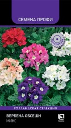 Вербена Обсешн Микс смесь (Поиск)