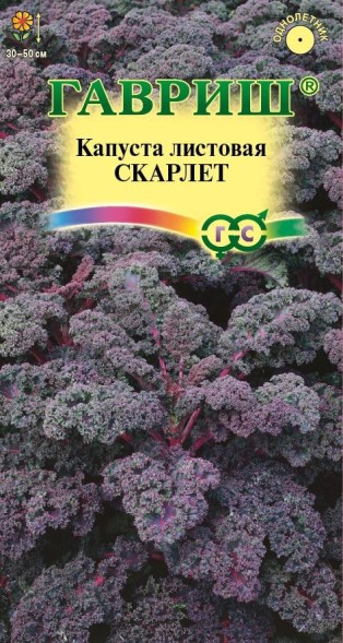 Семена Капуста листовая, кале Скарлет (Гавриш)