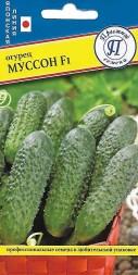 Огурец Муссон F1 (Престиж)