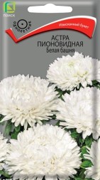 Астра Башня Белая пионовидная махровая (Поиск)