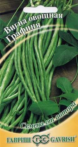 Вигна Графиня (Гавриш) Вигна Графиня (Гавриш)