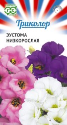 Эустома Триколор низкорослая смесь (Гавриш)
